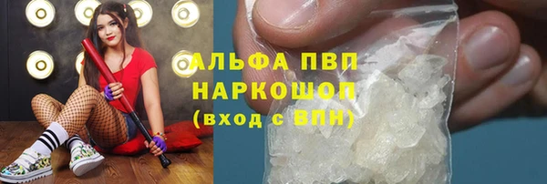 индика Волосово