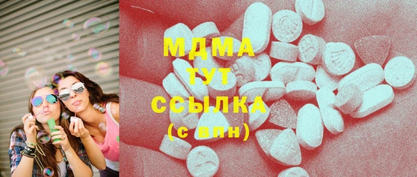 индика Волосово