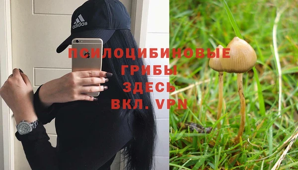 мдпв Бронницы