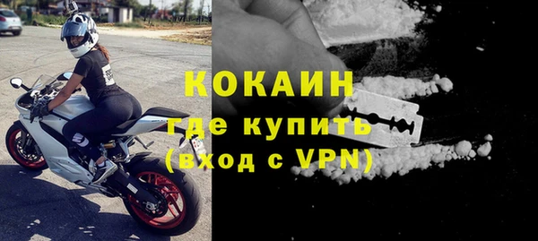 индика Волосово