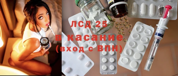 индика Волосово