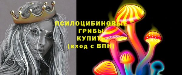 индика Волосово
