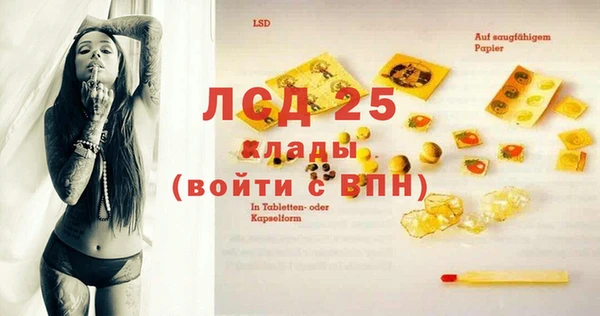 индика Волосово