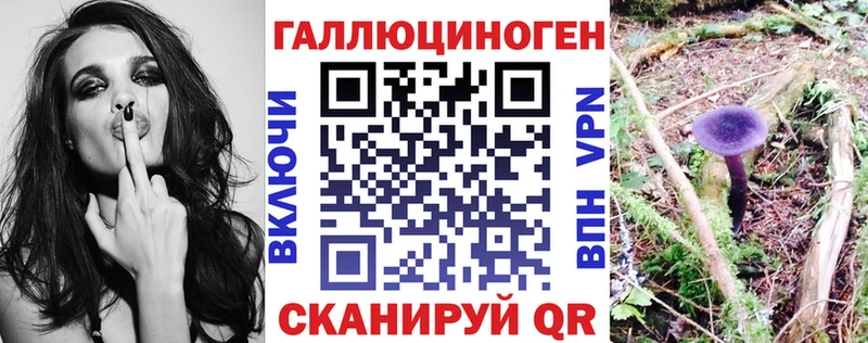 Галлюциногенные грибы мицелий blacksprut Кисловодск